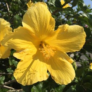 Meet your Posher, Chloe